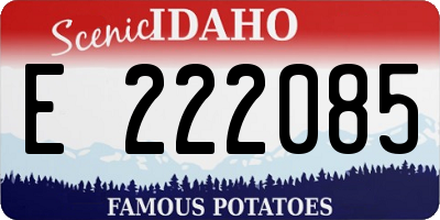 ID license plate E222085