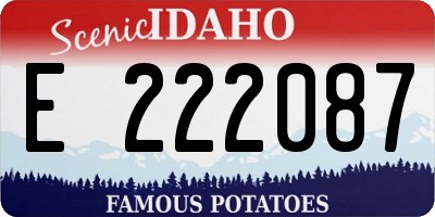 ID license plate E222087