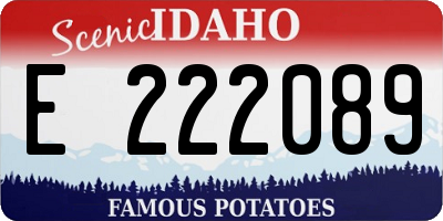 ID license plate E222089