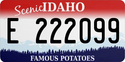 ID license plate E222099