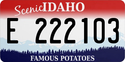 ID license plate E222103