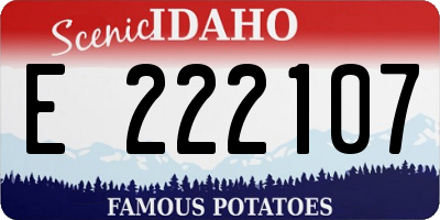 ID license plate E222107