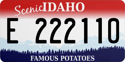 ID license plate E222110