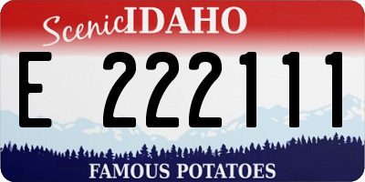 ID license plate E222111