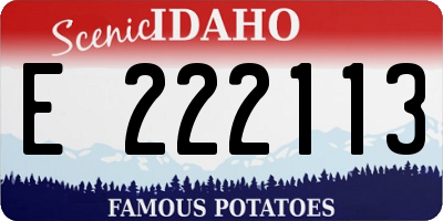 ID license plate E222113