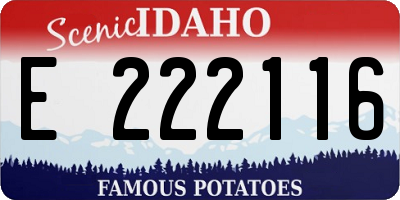ID license plate E222116