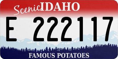 ID license plate E222117