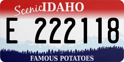 ID license plate E222118