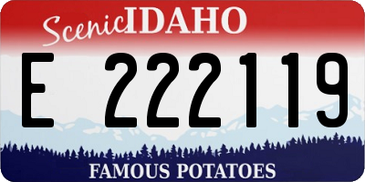 ID license plate E222119