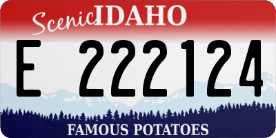 ID license plate E222124