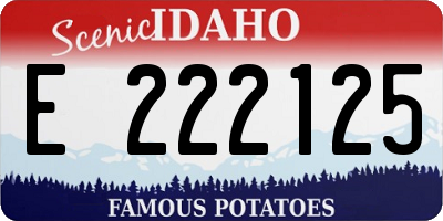 ID license plate E222125