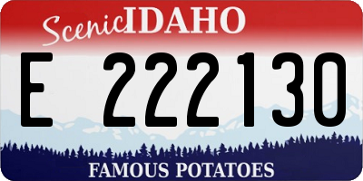 ID license plate E222130