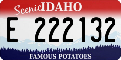 ID license plate E222132