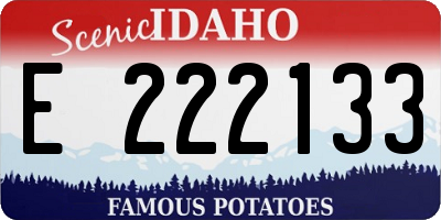 ID license plate E222133