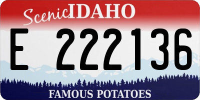 ID license plate E222136