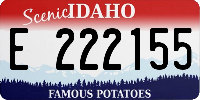 ID license plate E222155