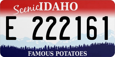 ID license plate E222161