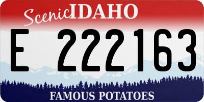 ID license plate E222163