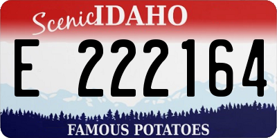 ID license plate E222164