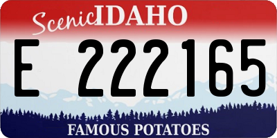 ID license plate E222165
