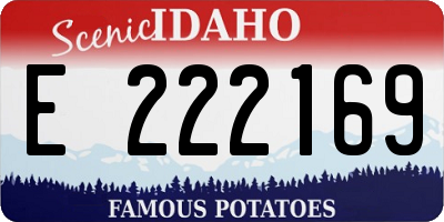 ID license plate E222169