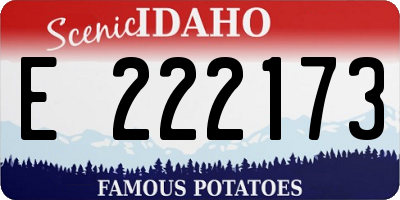 ID license plate E222173