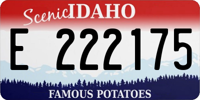 ID license plate E222175