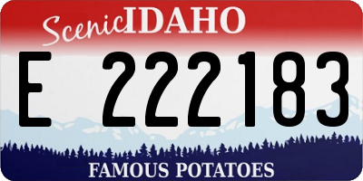 ID license plate E222183
