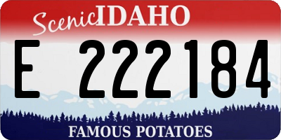 ID license plate E222184