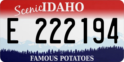 ID license plate E222194