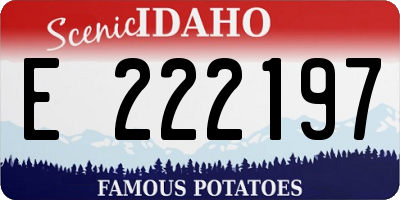 ID license plate E222197