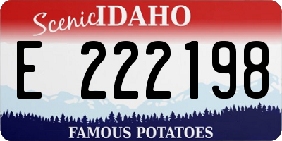 ID license plate E222198