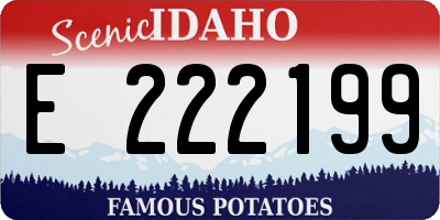 ID license plate E222199