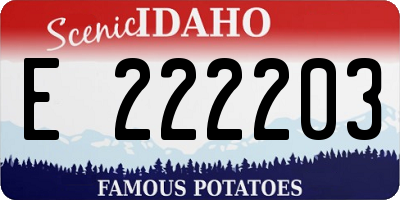 ID license plate E222203