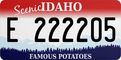 ID license plate E222205
