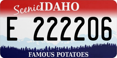 ID license plate E222206