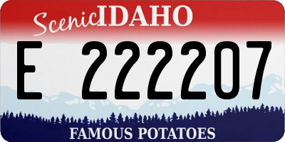 ID license plate E222207