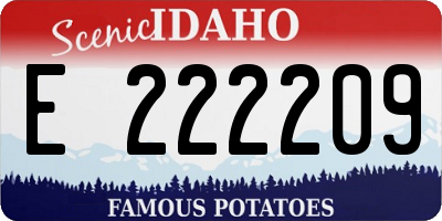 ID license plate E222209