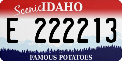 ID license plate E222213