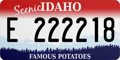 ID license plate E222218