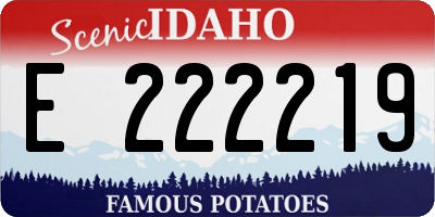 ID license plate E222219