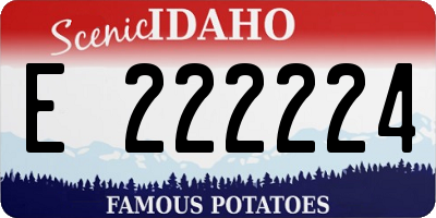ID license plate E222224