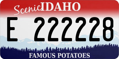 ID license plate E222228