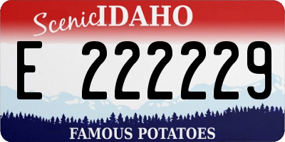 ID license plate E222229