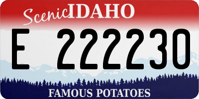 ID license plate E222230