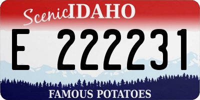 ID license plate E222231