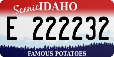 ID license plate E222232