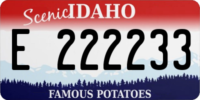 ID license plate E222233
