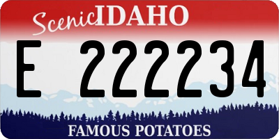ID license plate E222234