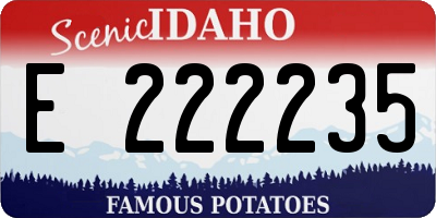 ID license plate E222235